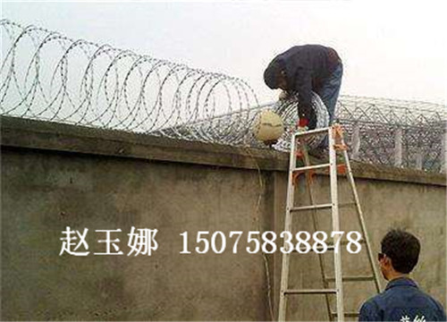 蛇腹形刀刺网,看守所刀刺网,监狱刀刺网