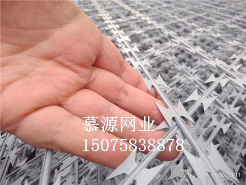 监狱围栏