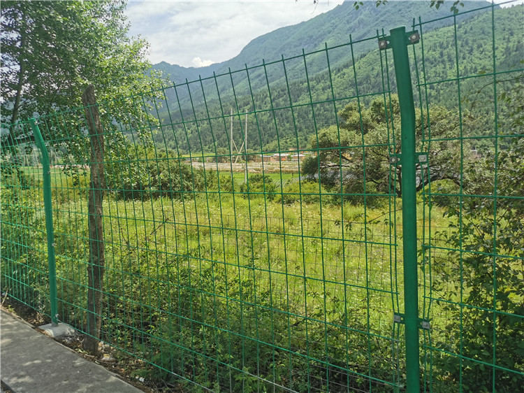 双边丝护栏网